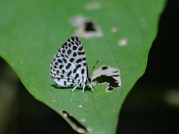c0045352_19372158.jpg