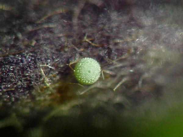 c0045352_19392390.jpg