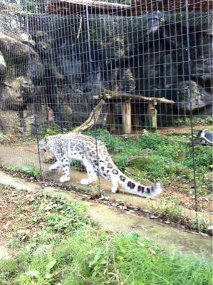 動物園_f0223253_936265.jpg