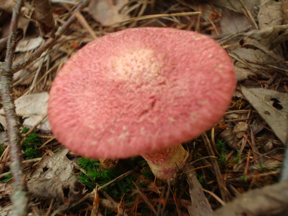 f0198556_23125195.jpg