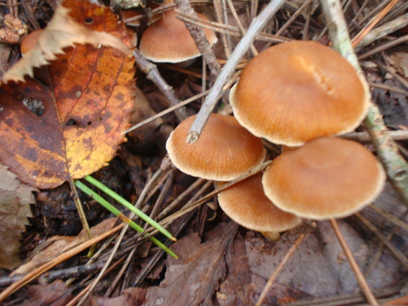 f0198556_23131631.jpg