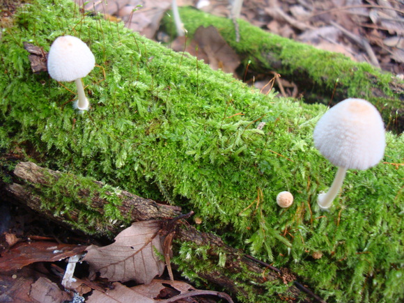 f0198556_23143210.jpg