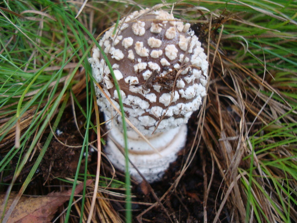 f0198556_23193323.jpg