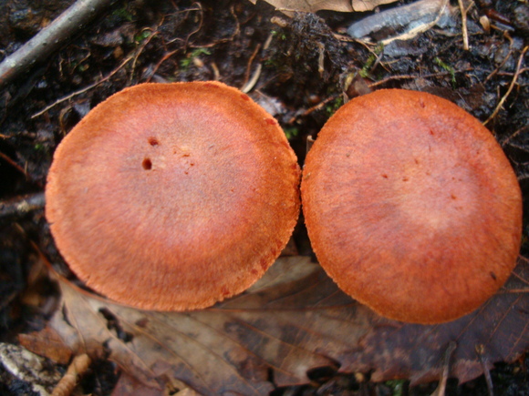 f0198556_23244673.jpg