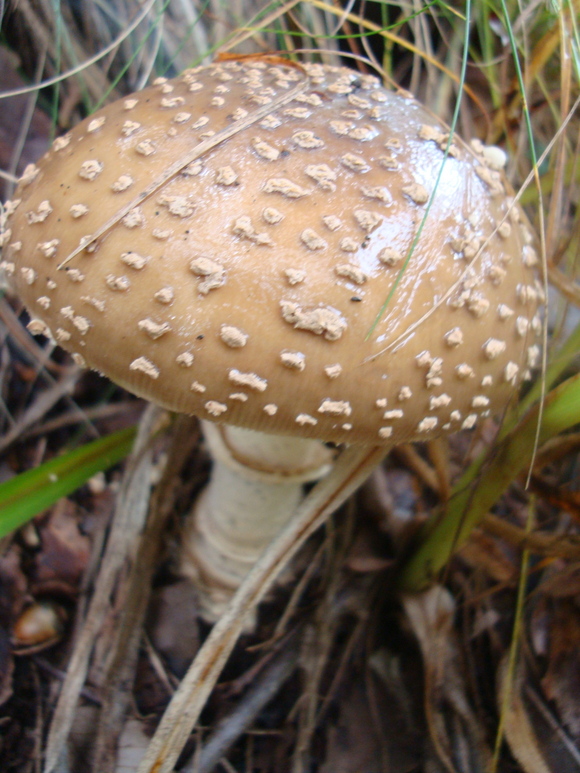 f0198556_23363573.jpg