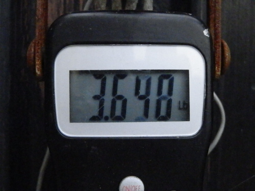 a0212557_658418.jpg