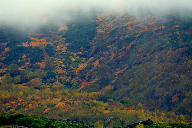 b0165760_8134819.jpg