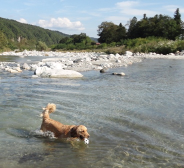 今年最後の川遊び_d0152765_2084920.jpg