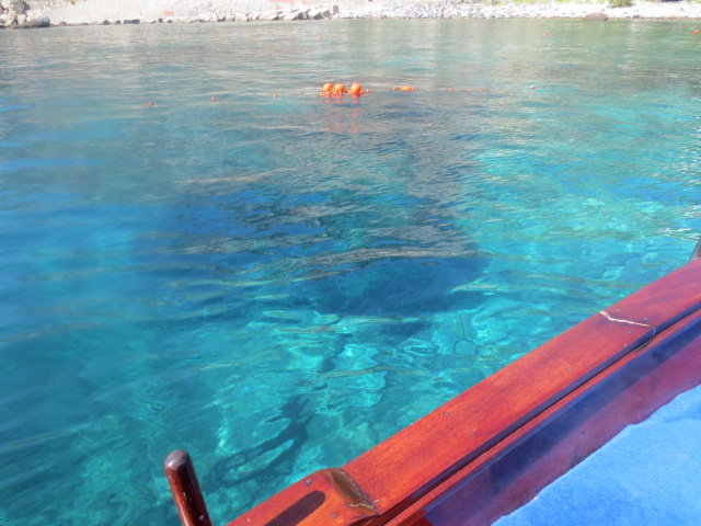 e0212073_23315774.jpg