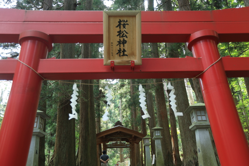 瀬織津比咩の祭祀其の十八「桜松神社」_f0075075_1755873.jpg