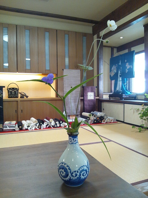 裏の庭から、、、_d0230676_16142111.jpg