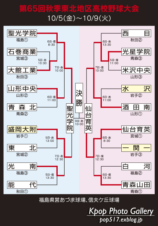 秋季東北大会準決勝、盛岡大附サヨナラ負け。_a0200578_225169.jpg