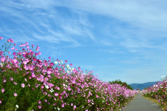 a0082884_22562116.jpg