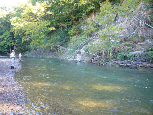 a0118989_2253561.jpg