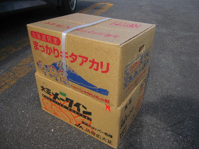 c0171889_222933.jpg