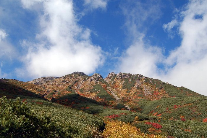 c0057390_22281630.jpg