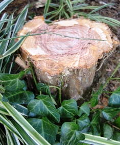 f0212993_1003679.jpg