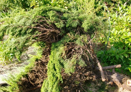 f0212993_10354041.jpg