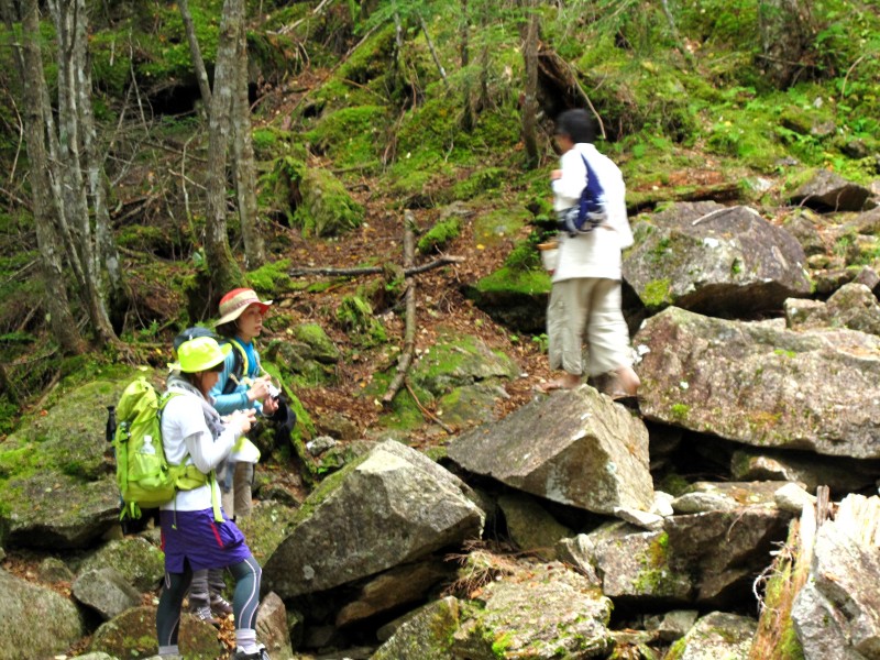 f0129994_1146475.jpg