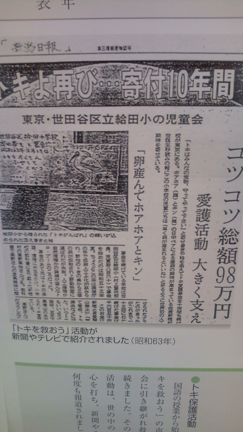 給田小学校~創立50周年~_c0092197_2594355.jpg