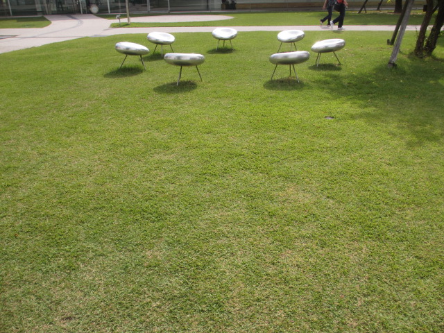 a0193698_19112858.jpg