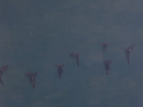 e0115199_18253272.jpg
