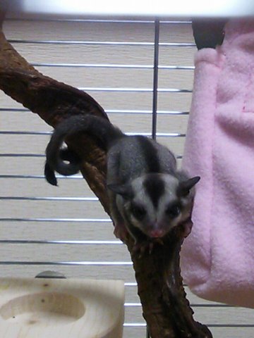 c0027700_18171710.jpg