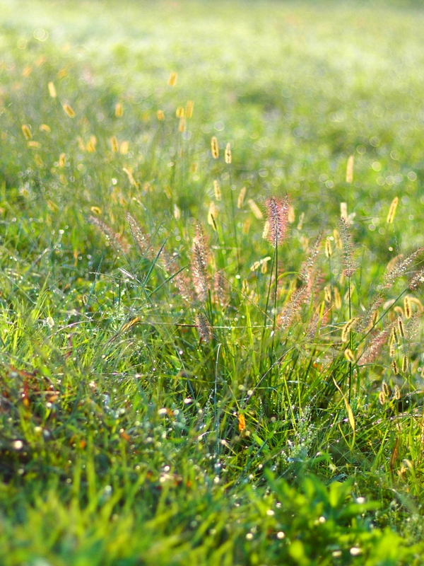 b0138101_237338.jpg