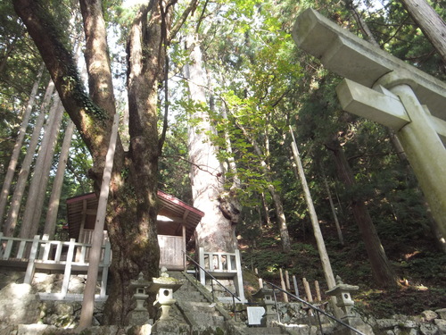 a0271502_2038032.jpg