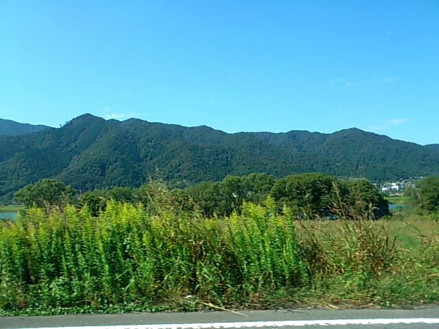 f0221204_11595123.jpg