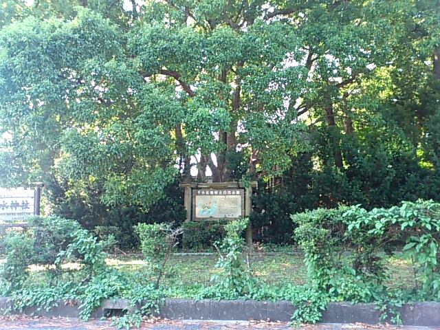 f0221204_121644.jpg