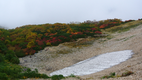 c0242406_14243060.jpg