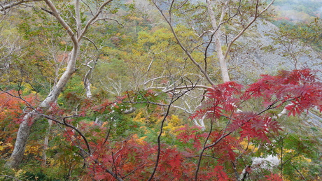 c0242406_1425193.jpg