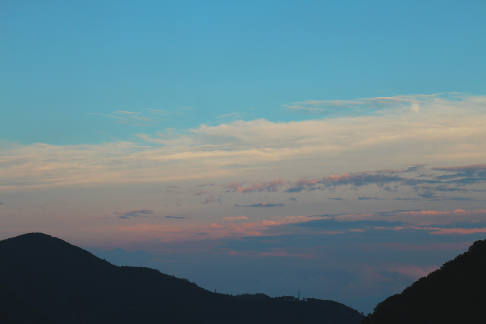 b0120108_0848.jpg