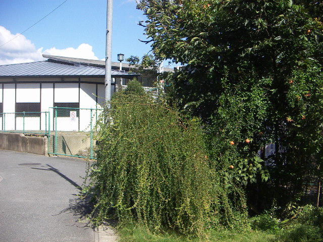 f0173908_13504065.jpg