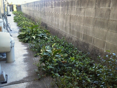 c0207810_223856.jpg