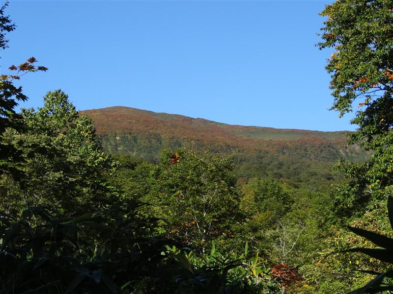 a0127015_1851355.jpg