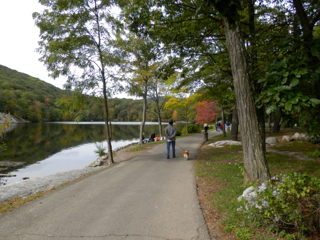 e0147716_883144.jpg