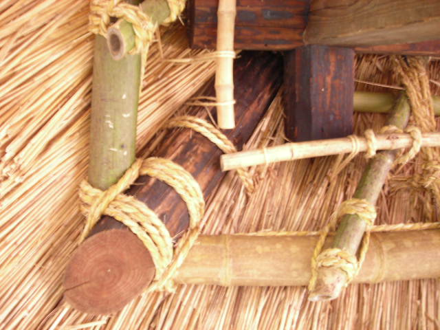 b0096418_22295542.jpg