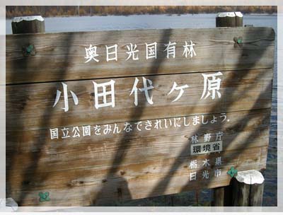 d0080118_1221911.jpg