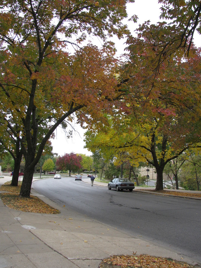 Fall Break_e0101819_853515.jpg