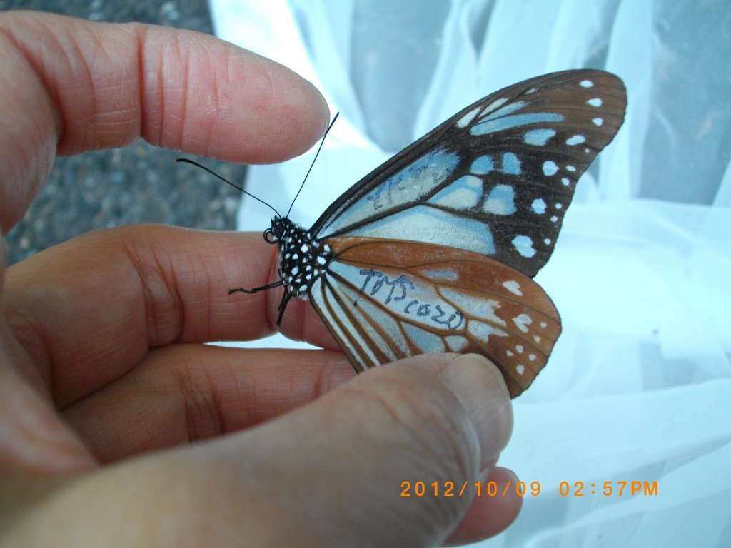 b0275022_22403124.jpg