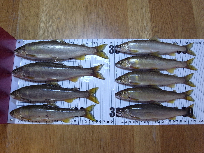 f0103126_22553764.jpg