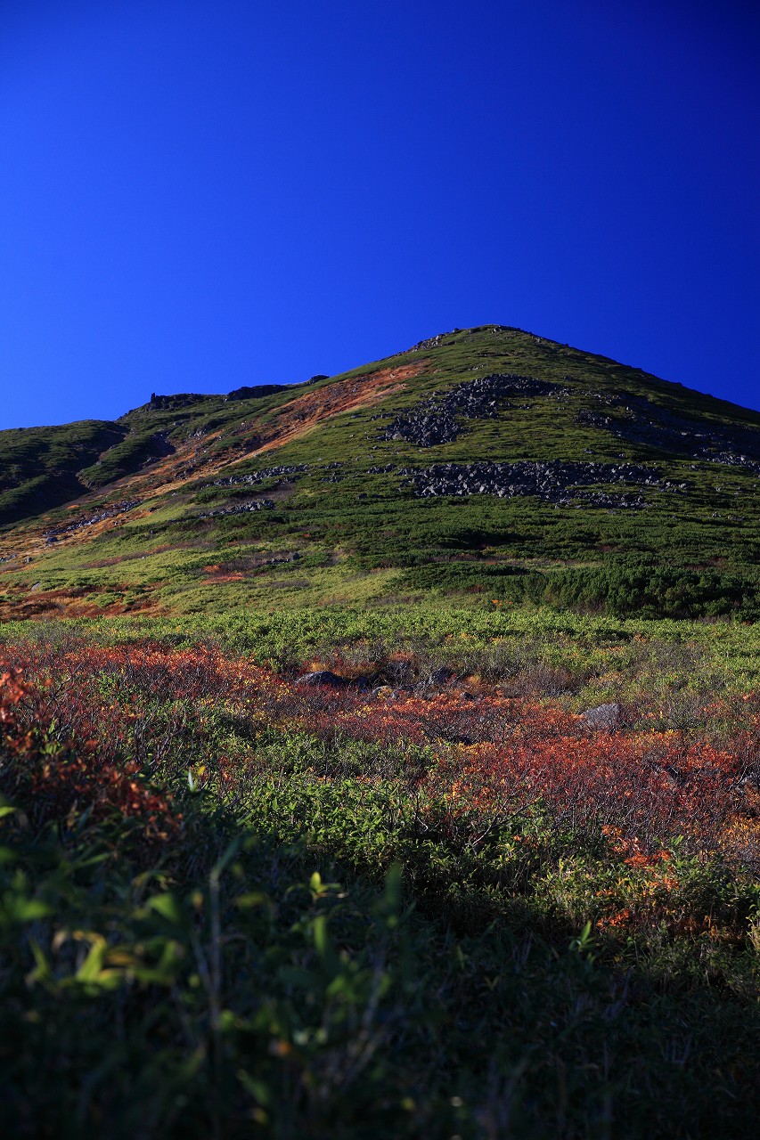 b0243727_2116761.jpg