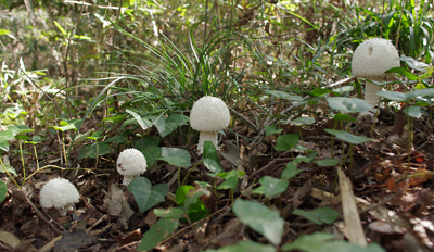 f0108133_23551416.jpg