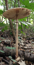 f0108133_23553086.jpg