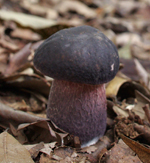 f0108133_23554919.jpg