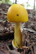 f0108133_23561041.jpg