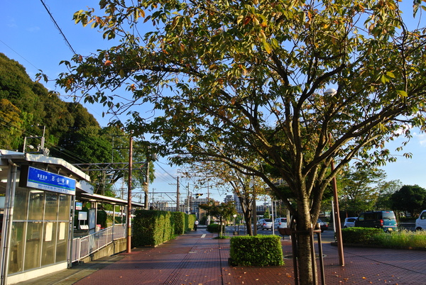 d0170835_8381143.jpg