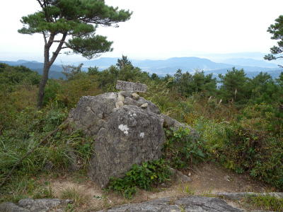 天山で”グリーンウォーク”に執筆の外西さんにお会し感激！そしてお初のセンブリに感動！_e0272335_1940054.jpg